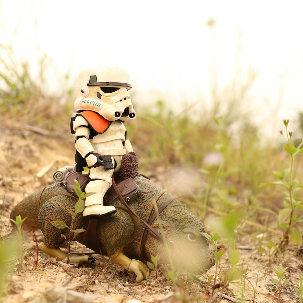 TEST IMAGE. Vinyl figure, front.