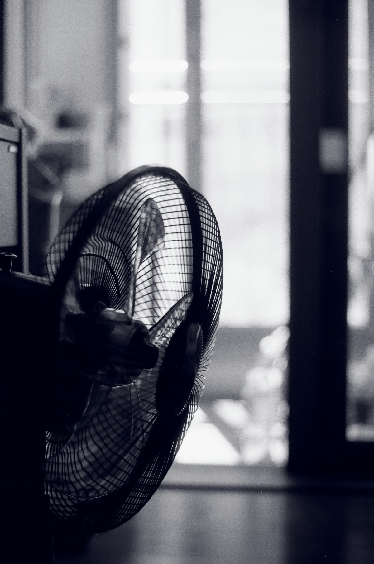 Example · Photo: Tony Luxon · Unsplash