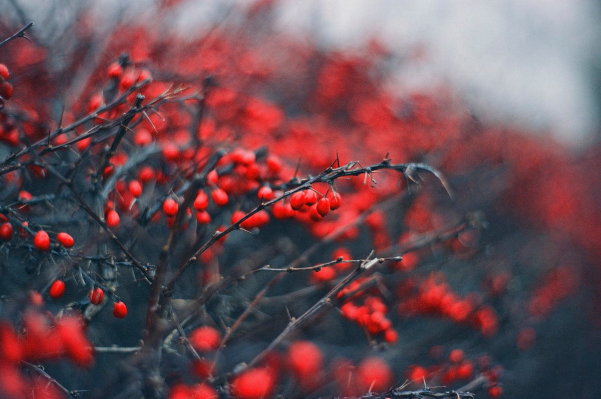 Example · Photo: Markus Spiske · Unsplash