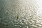 Example · Photo: Wesley Pribadi · Unsplash