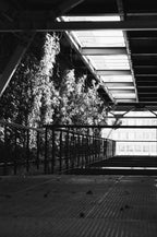 Example · Photo: Richard Stachmann · Unsplash