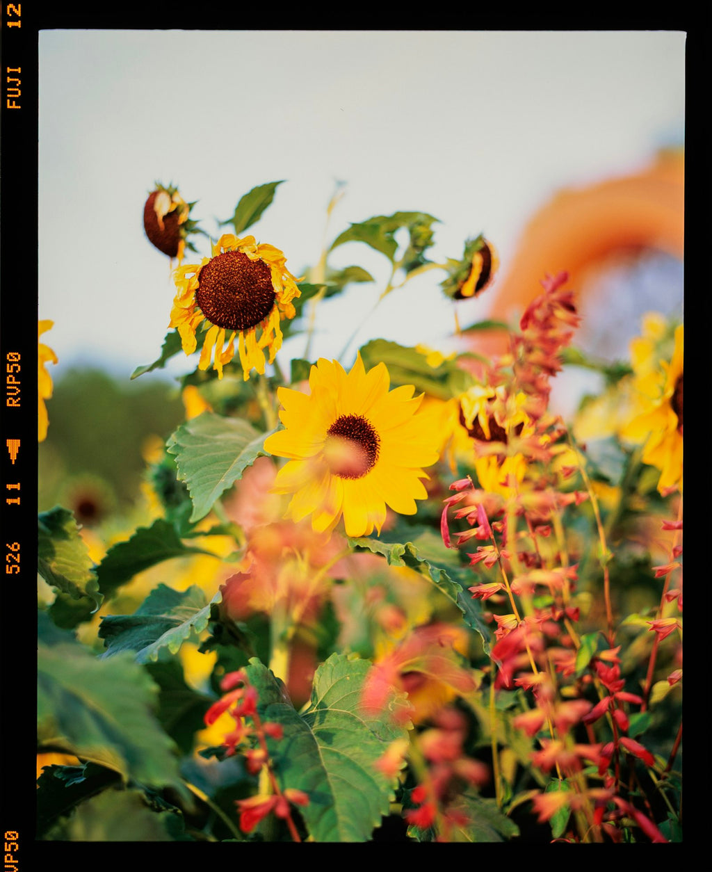 Example · Photo: realfish · Unsplash